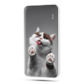 Дизайнерский внешний аккумулятор 10000mAh  Коты