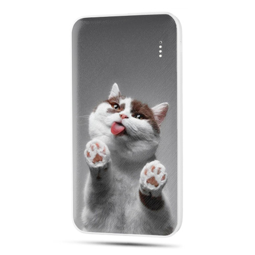 Дизайнерский внешний аккумулятор 10000mAh  Коты