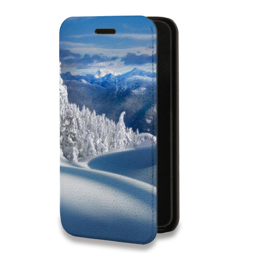 Дизайнерский горизонтальный чехол-книжка для Huawei Honor 50 Lite Зима