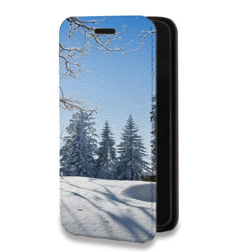 Дизайнерский горизонтальный чехол-книжка для Realme 6 Pro Зима