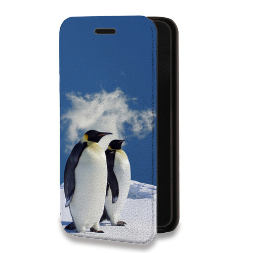 Дизайнерский горизонтальный чехол-книжка для ASUS ZenFone 8 Flip Пингвины