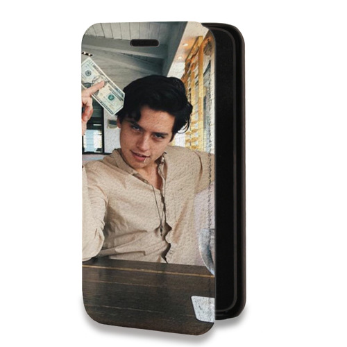 Дизайнерский горизонтальный чехол-книжка для Iphone 14 Pro Max Ривердэйл