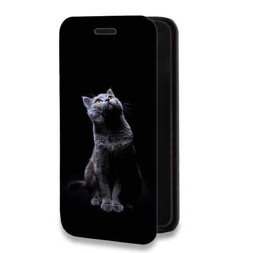 Дизайнерский горизонтальный чехол-книжка для Realme 6 Pro Коты