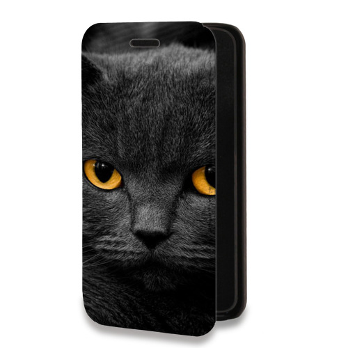 Дизайнерский горизонтальный чехол-книжка для Iphone 14 Pro Коты