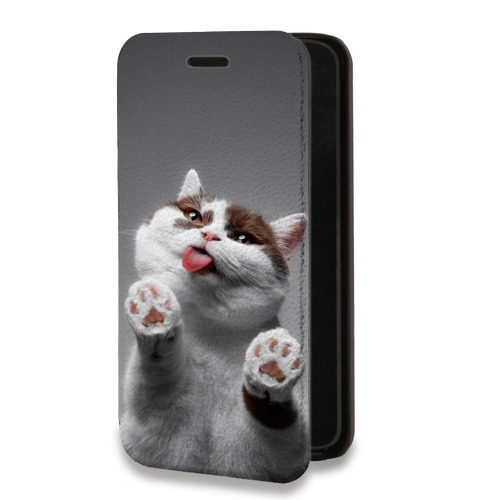 Дизайнерский горизонтальный чехол-книжка для Iphone 11 Коты