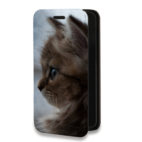 Дизайнерский горизонтальный чехол-книжка для Iphone 7 Plus / 8 Plus Котята