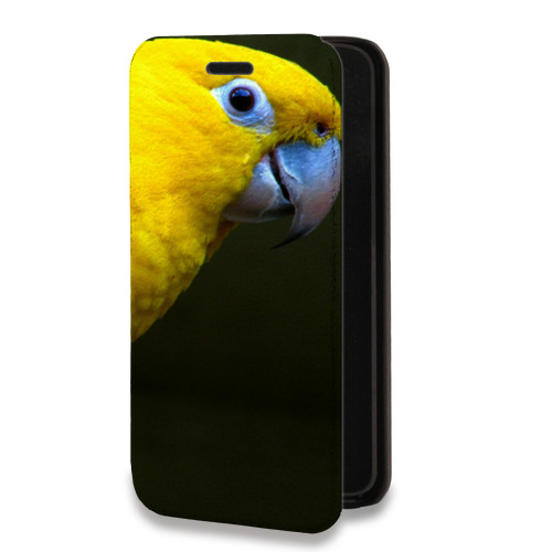 Дизайнерский горизонтальный чехол-книжка для Iphone 7 Попугаи