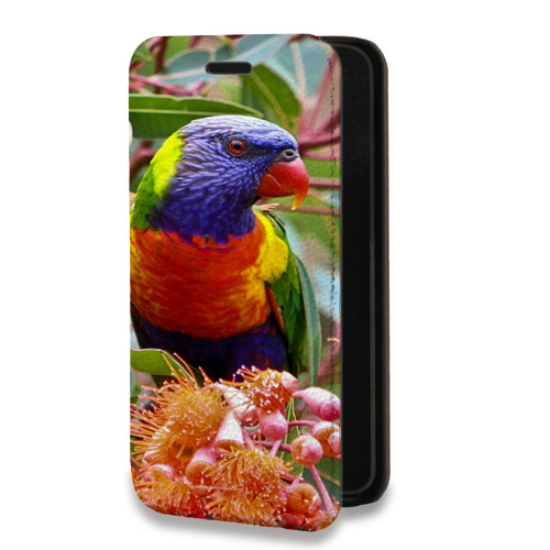 Дизайнерский горизонтальный чехол-книжка для Samsung Galaxy M31 Попугаи