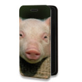 Дизайнерский горизонтальный чехол-книжка для Iphone 11 Свинки