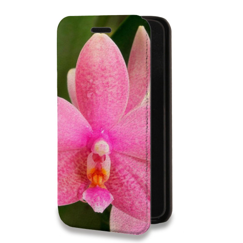 Дизайнерский горизонтальный чехол-книжка для Iphone 11 Орхидеи