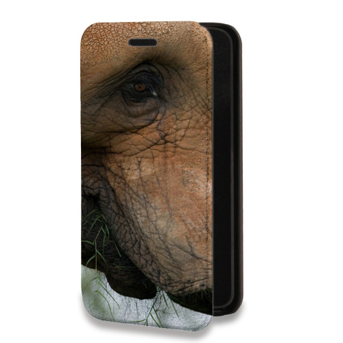 Дизайнерский горизонтальный чехол-книжка для Iphone 13 Pro Слоны