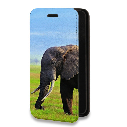 Дизайнерский горизонтальный чехол-книжка для Iphone 11 Pro Слоны