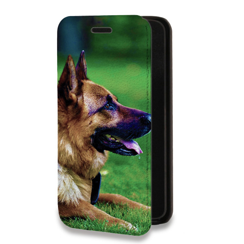Дизайнерский горизонтальный чехол-книжка для Huawei Honor 10i Собаки