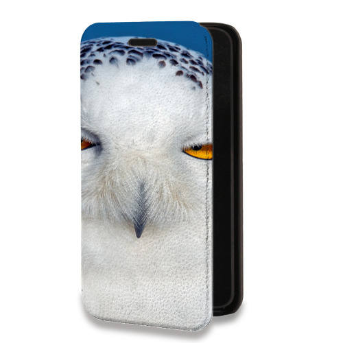 Дизайнерский горизонтальный чехол-книжка для Iphone 11 Pro Max Совы