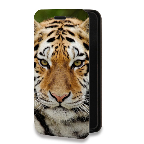 Дизайнерский горизонтальный чехол-книжка для Nokia 7 Тигры