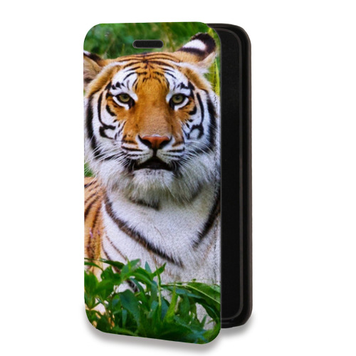 Дизайнерский горизонтальный чехол-книжка для Iphone Xr Тигры