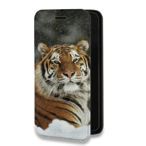Дизайнерский горизонтальный чехол-книжка для Samsung Galaxy S10 Lite Тигры