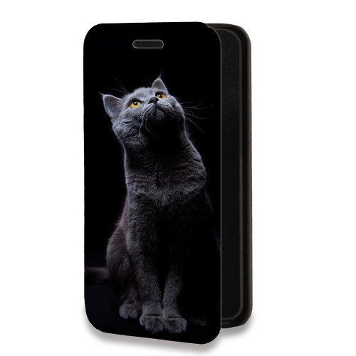 Дизайнерский горизонтальный чехол-книжка для Huawei Honor 20 Кошки