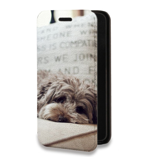 Дизайнерский горизонтальный чехол-книжка для Iphone 12 Pro Собаки