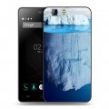 Дизайнерский силиконовый чехол для Doogee X5 Льды