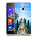 Дизайнерский пластиковый чехол для Microsoft Lumia 540 Озера