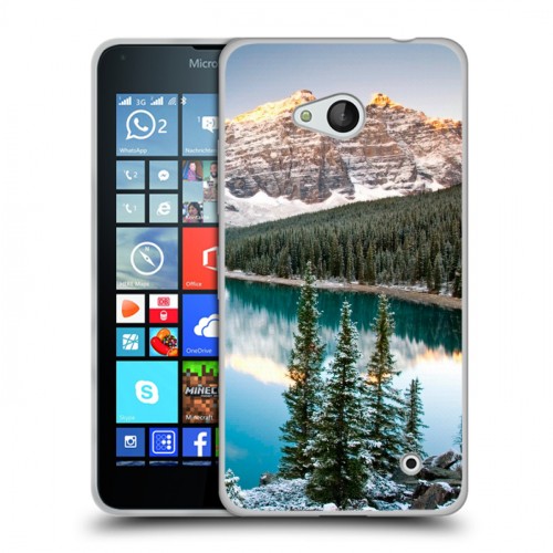 Дизайнерский пластиковый чехол для Microsoft Lumia 640 Озера