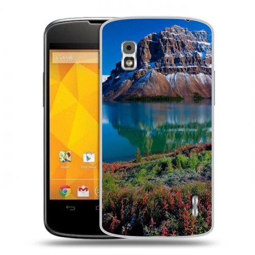 Дизайнерский пластиковый чехол для LG Google Nexus 4 Горы