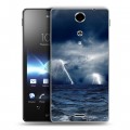 Дизайнерский пластиковый чехол для Sony Xperia TX Стихии