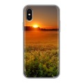 Дизайнерский силиконовый чехол для Iphone x10 Восход