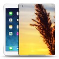 Дизайнерский силиконовый чехол для Ipad (2017) Восход