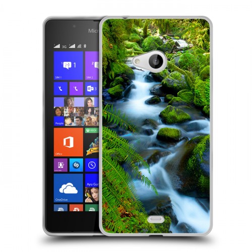 Дизайнерский пластиковый чехол для Microsoft Lumia 540 Водопады