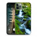 Дизайнерский пластиковый чехол для Iphone 11 Pro Max Водопады