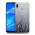 Дизайнерский пластиковый чехол для Huawei Y6 (2019) Зима