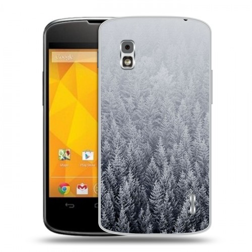 Дизайнерский пластиковый чехол для LG Google Nexus 4 Зима