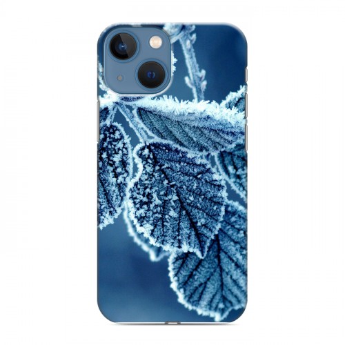 Дизайнерский пластиковый чехол для Iphone 13 Mini Зима