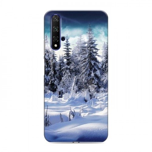 Дизайнерский силиконовый чехол для Huawei Honor 20 Зима