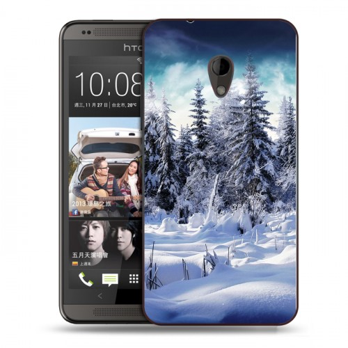 Дизайнерский пластиковый чехол для HTC Desire 700 Зима