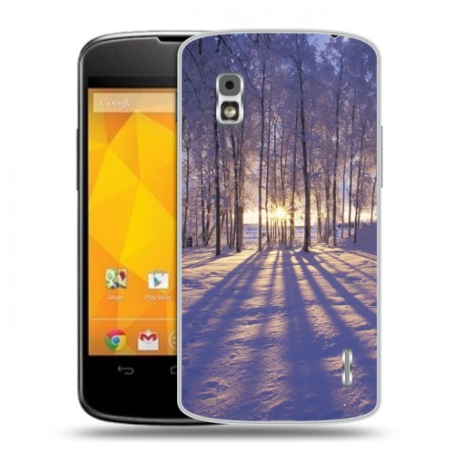 Дизайнерский пластиковый чехол для LG Google Nexus 4 Зима