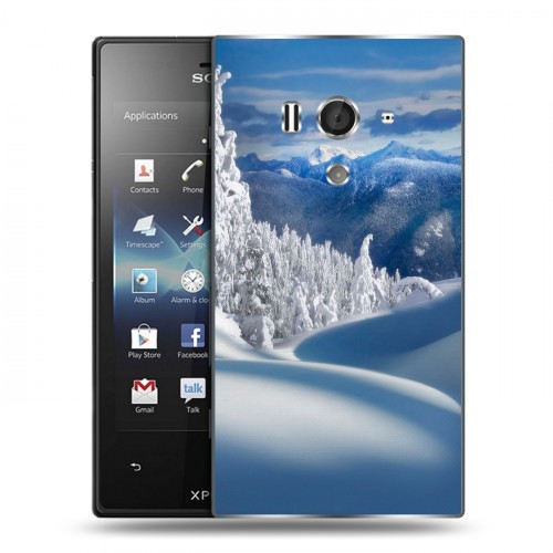 Дизайнерский пластиковый чехол для Sony Xperia acro S Зима