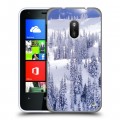 Дизайнерский пластиковый чехол для Nokia Lumia 620 Зима