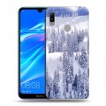 Дизайнерский пластиковый чехол для Huawei Y6 (2019) Зима