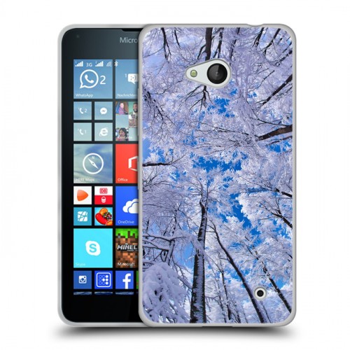 Дизайнерский пластиковый чехол для Microsoft Lumia 640 Зима