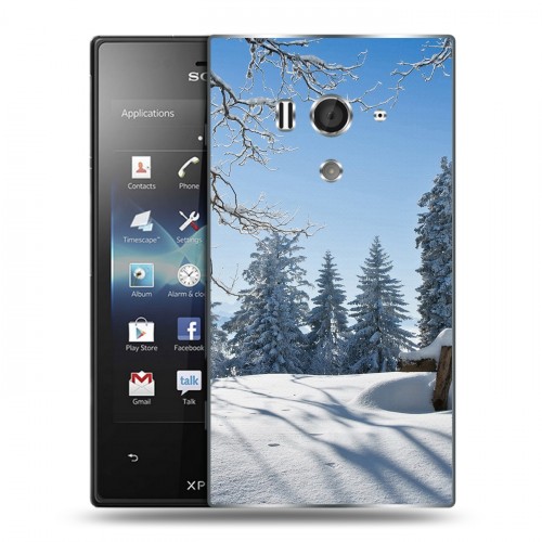 Дизайнерский пластиковый чехол для Sony Xperia acro S Зима