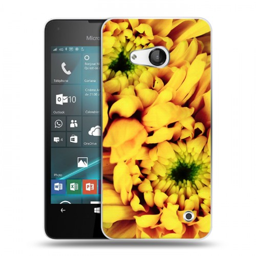 Дизайнерский пластиковый чехол для Microsoft Lumia 550 Монохромные цветы