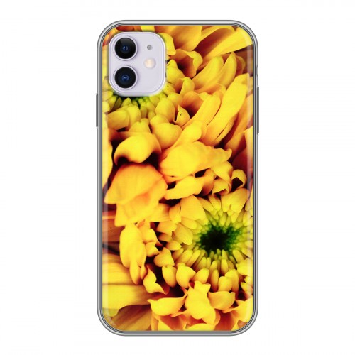 Дизайнерский пластиковый чехол для Iphone 11 Монохромные цветы