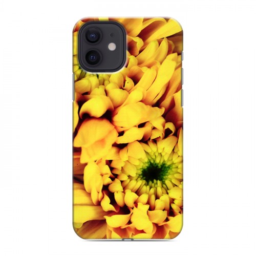 Дизайнерский силиконовый чехол для Iphone 12 Монохромные цветы