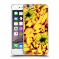 Дизайнерский пластиковый чехол для Iphone 6/6s Монохромные цветы