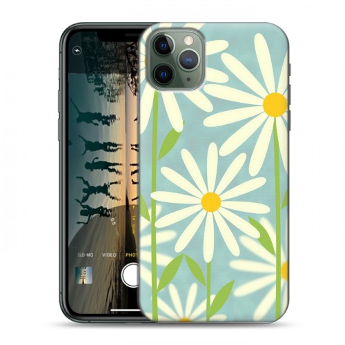 Дизайнерский пластиковый чехол для Iphone 11 Pro Max Романтик цветы