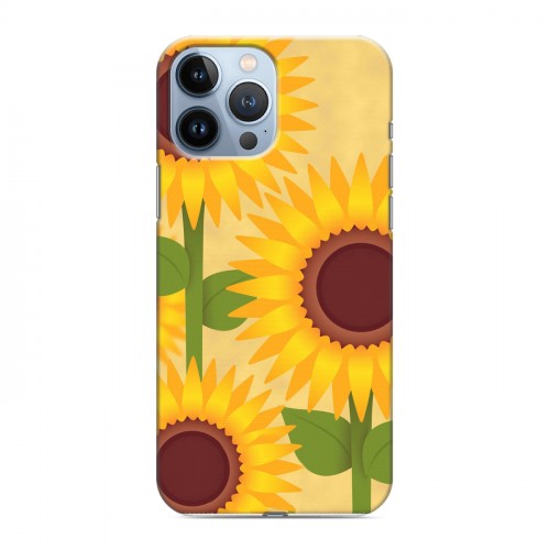 Дизайнерский пластиковый чехол для Iphone 13 Pro Max Романтик цветы