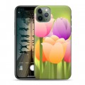 Дизайнерский пластиковый чехол для Iphone 11 Pro Max Романтик цветы